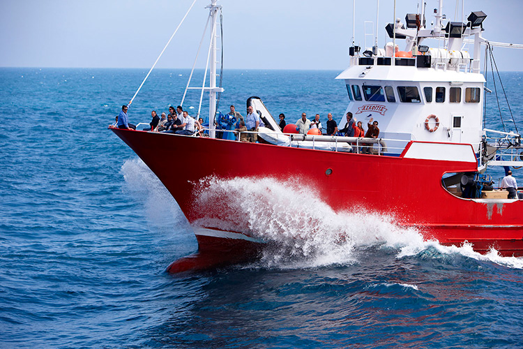 Paseo en Barco desde Getaria