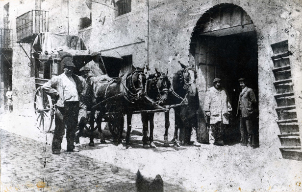 Carros de transporte